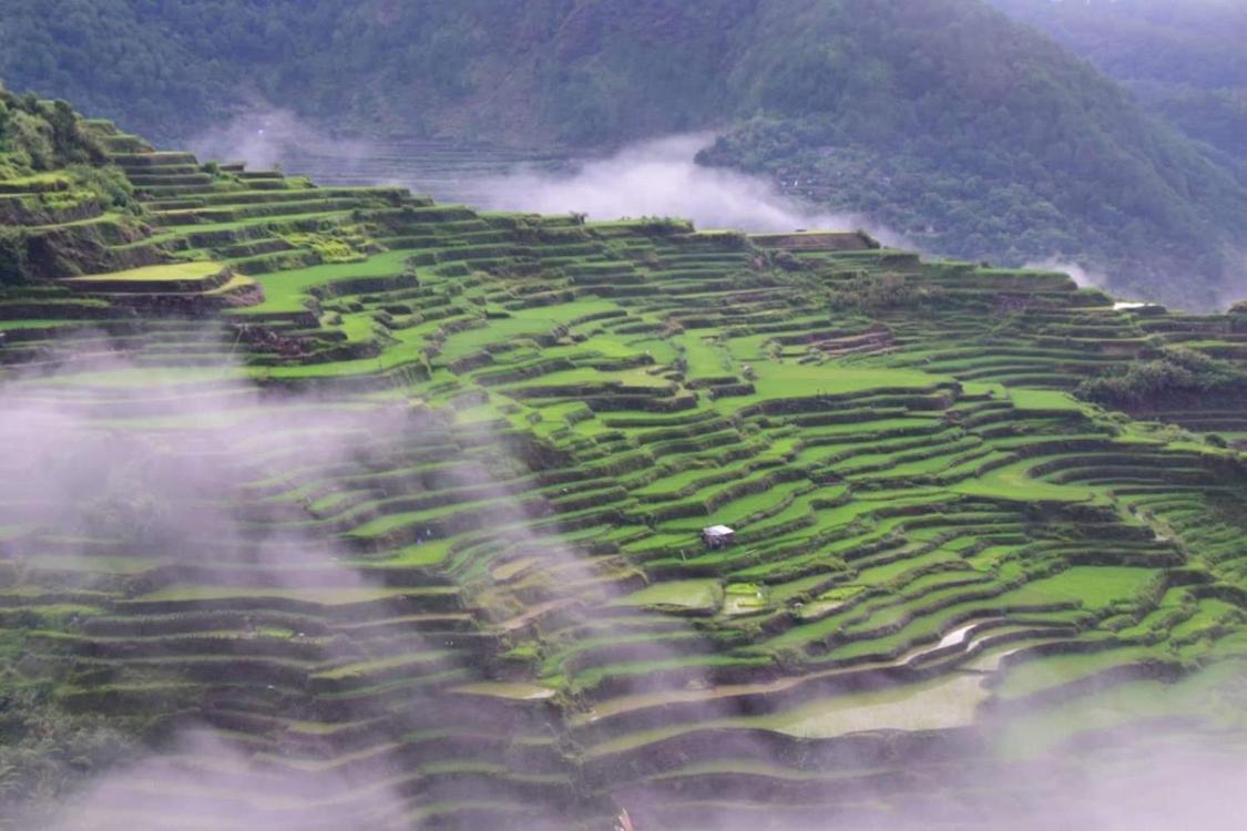 Vilma'S Homestay Bontoc (Mountain Province) Exterior foto