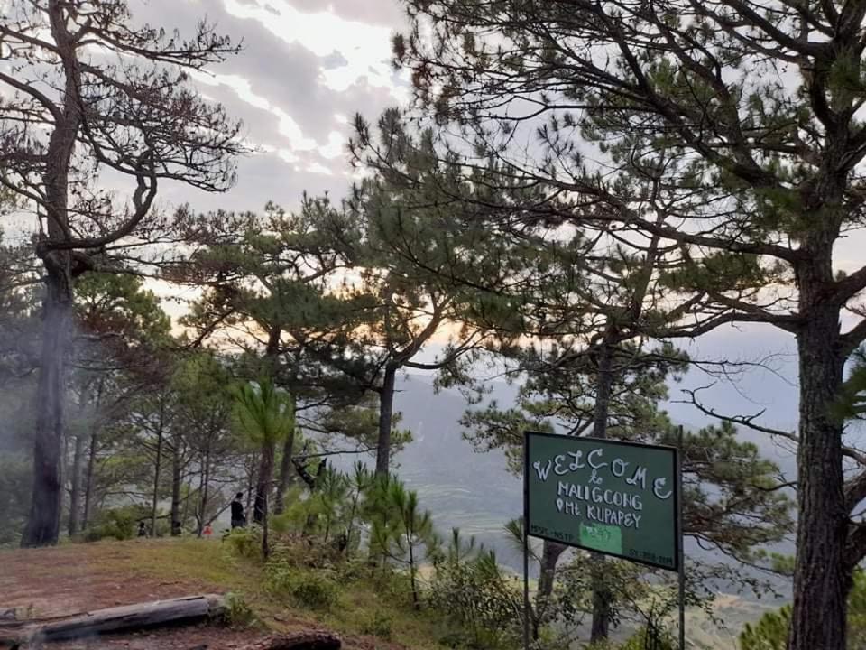 Vilma'S Homestay Bontoc (Mountain Province) Exterior foto